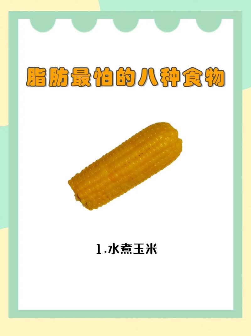 什么东西没有脂肪