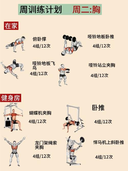 运动员减肥法什么原理