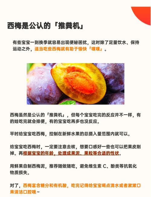 梅有什么作用