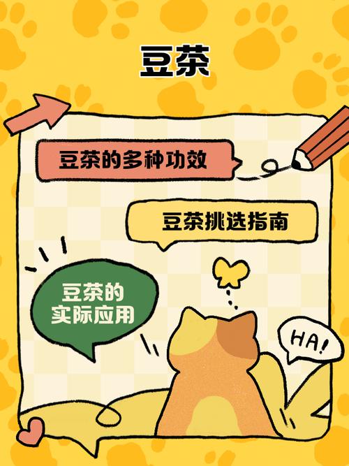 什么豆可以煮茶减肥