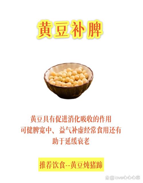 什么豆可以煮茶减肥