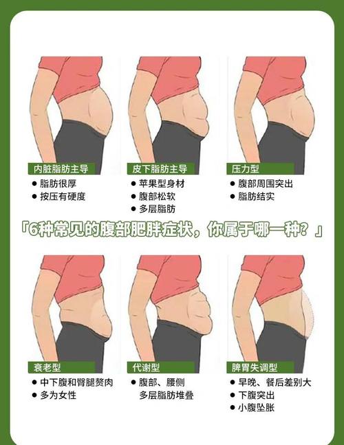 大肚腩是什么意思