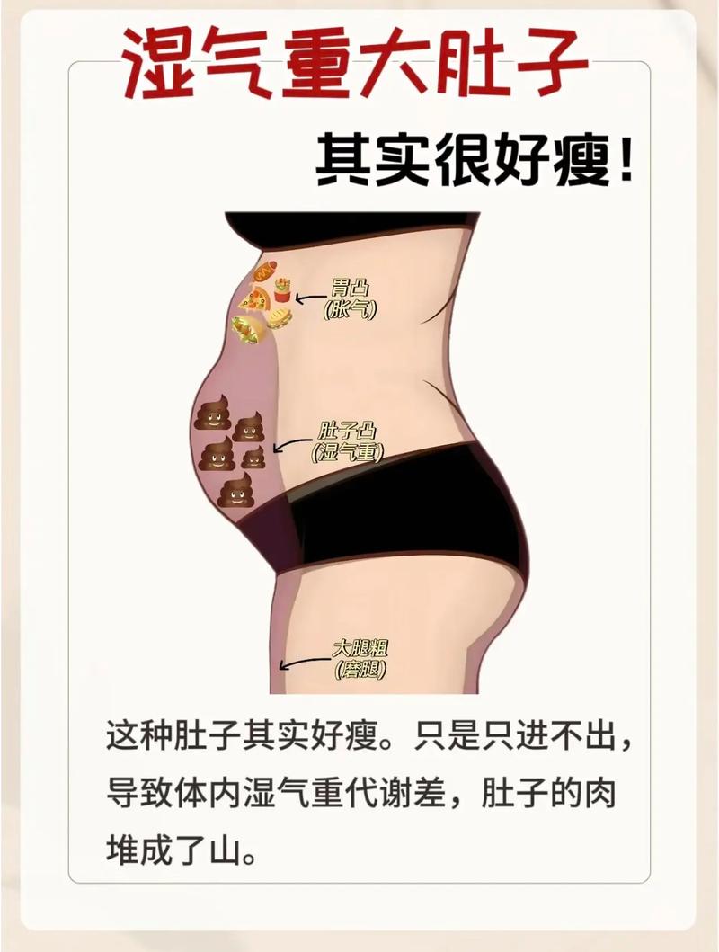 大肚腩是什么意思