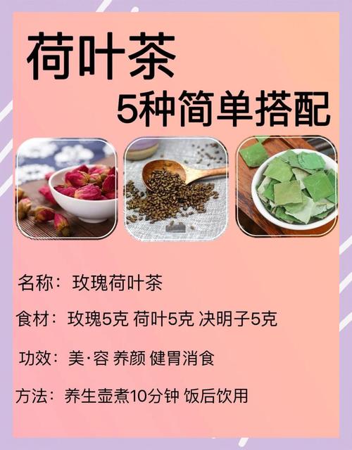 荷叶茶配什么可以减肥效果最好