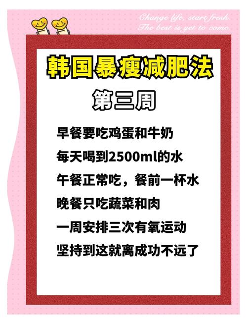 韩国女生减肥方法是什么意思