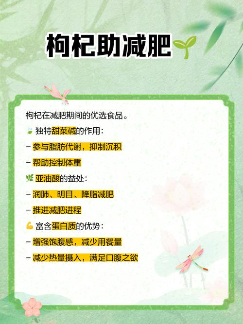 枸杞子为什么能减肥吗