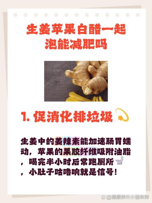 饭后喝什么醋减肥吗