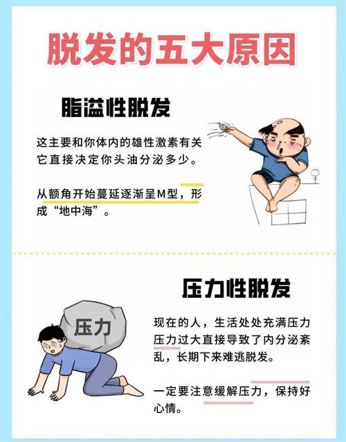 脱发是身体缺什么