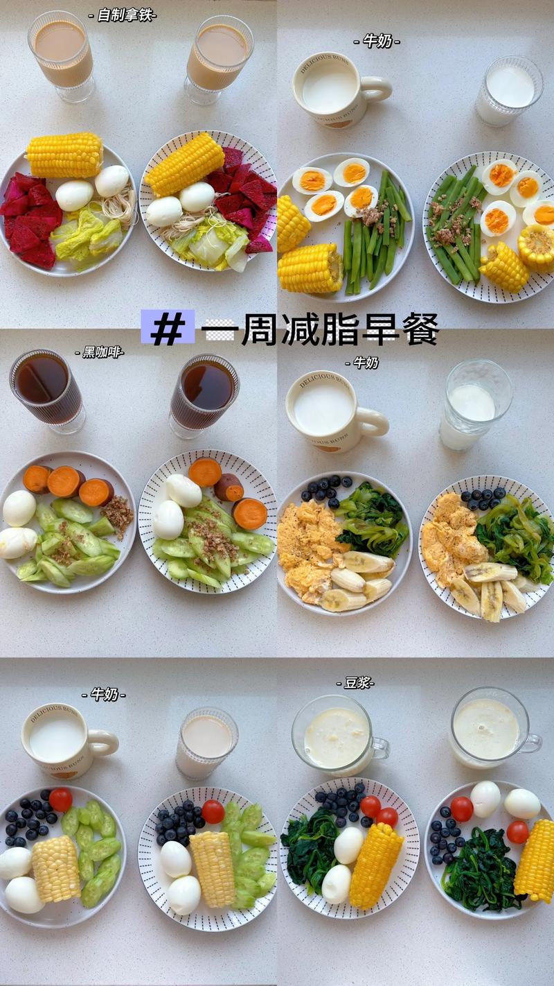 怎么早餐吃什么营养又减肥食谱
