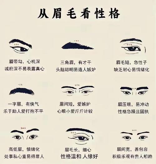 女人眉毛短代表什么