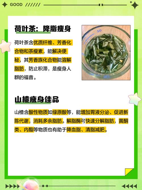 用什么中药减肥最有效