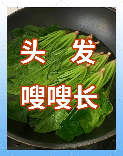 斑秃吃什么食物好