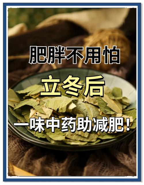 夏天喝什么药草减肥