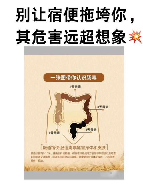 为什么会有宿便