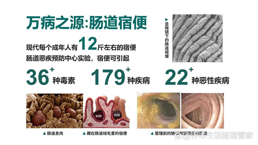 为什么会有宿便