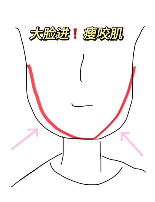 为什么会有咬肌