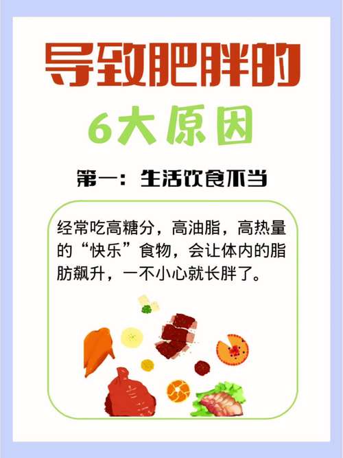 为什么会越减肥越胖