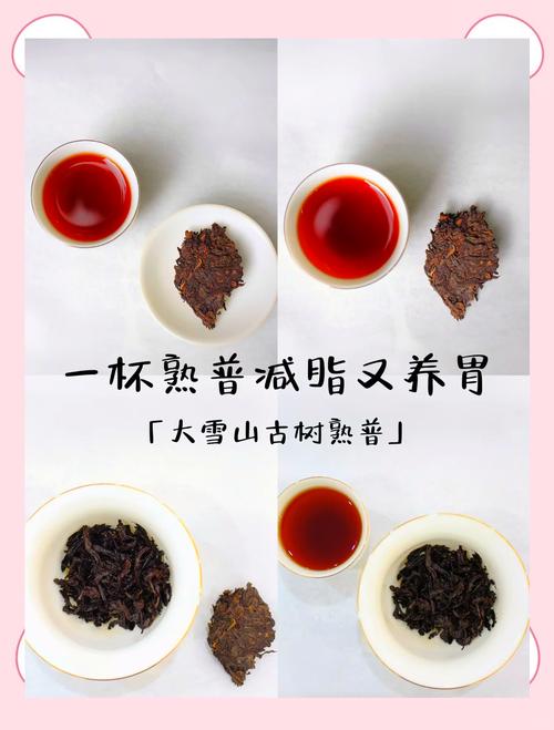 熟普洱减肥加什么意思