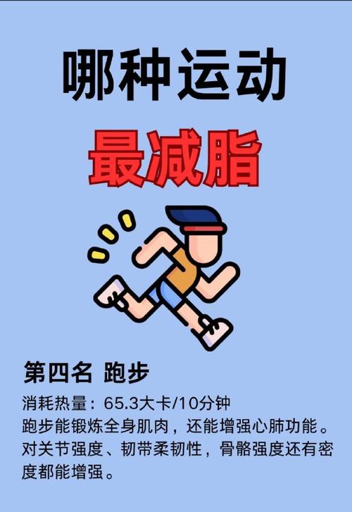 什么运动会减肥