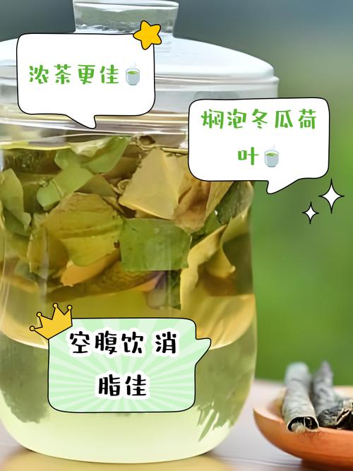 什么时候喝荷叶减肥效果最好