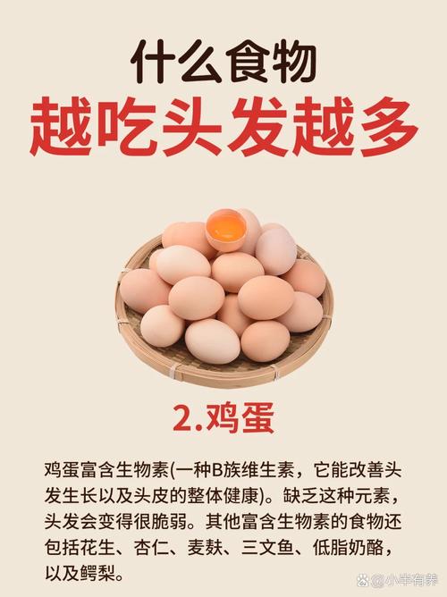 掉头发应该吃什么药