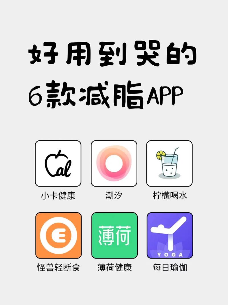 什么减肥软件最有用