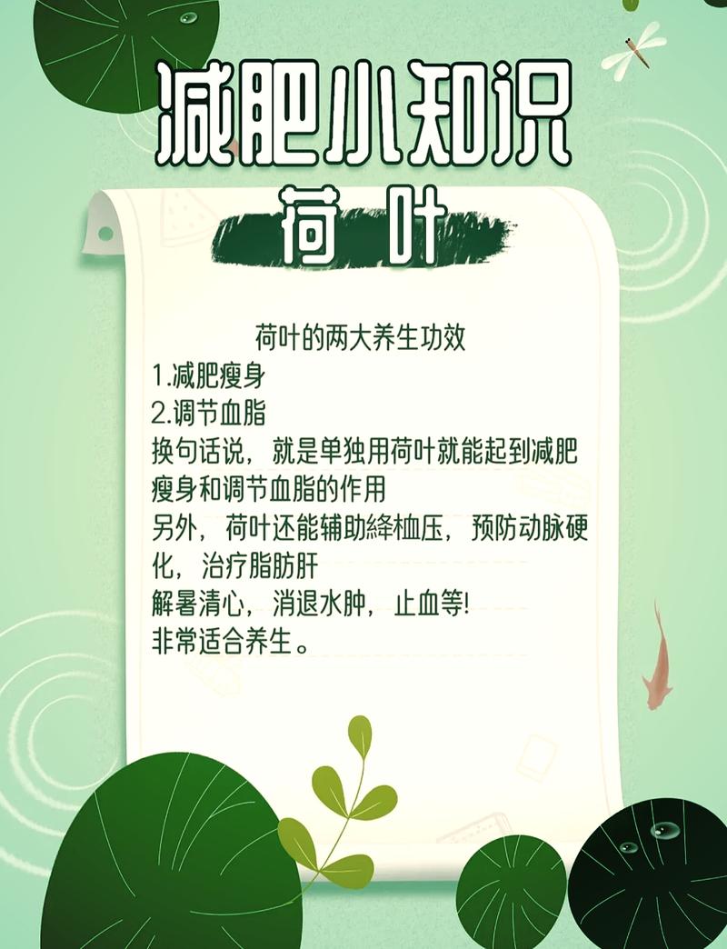 什么荷叶减肥效果好
