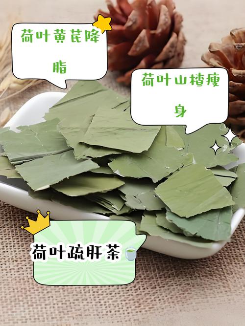 什么荷叶减肥效果好