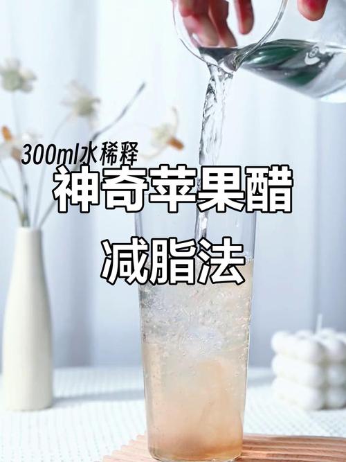 什么醋有减肥效果