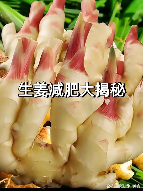 生姜加什么减肥效果