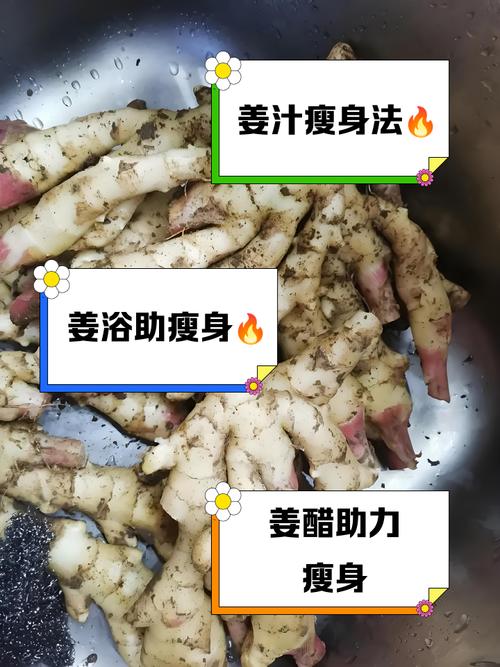 生姜加什么减肥法