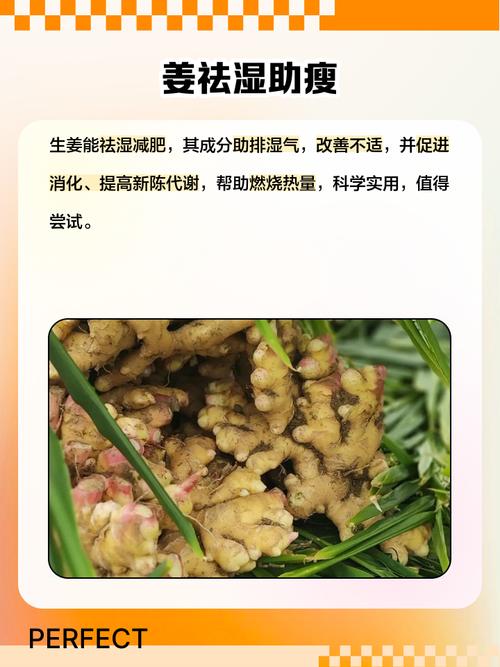 生姜和什么一起喝减肥