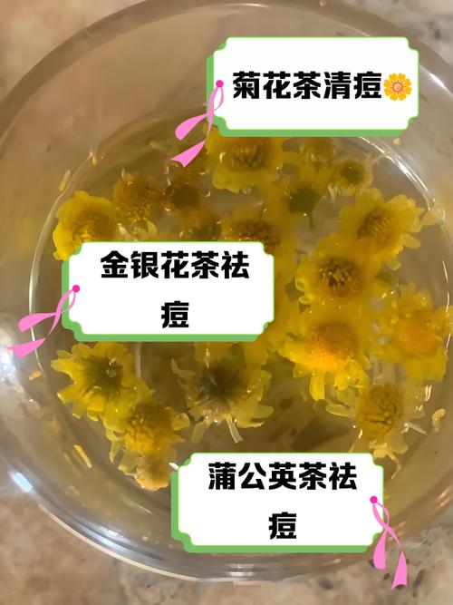 去火祛痘喝什么茶