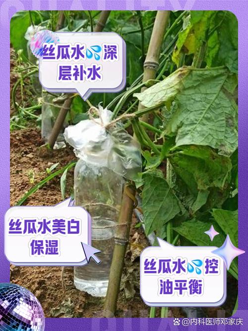 喝丝瓜水有什么好处