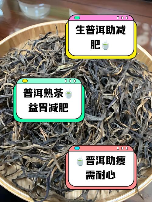 普洱加什么最减肥效果