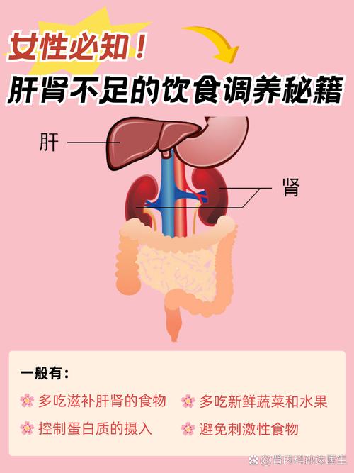 女性肝不好吃什么