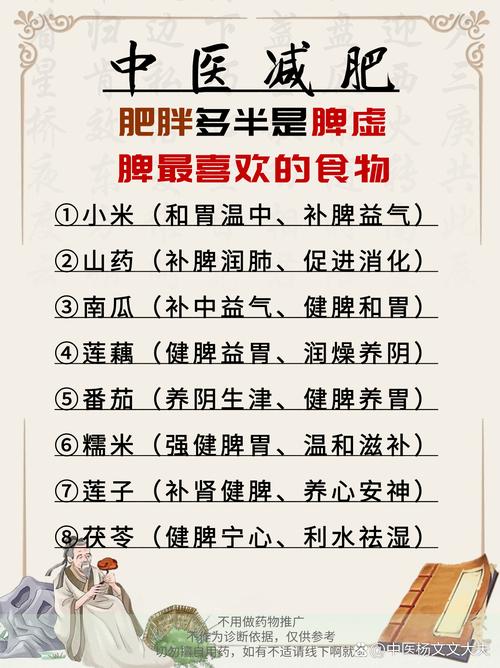 脾虚胖吃什么减肥