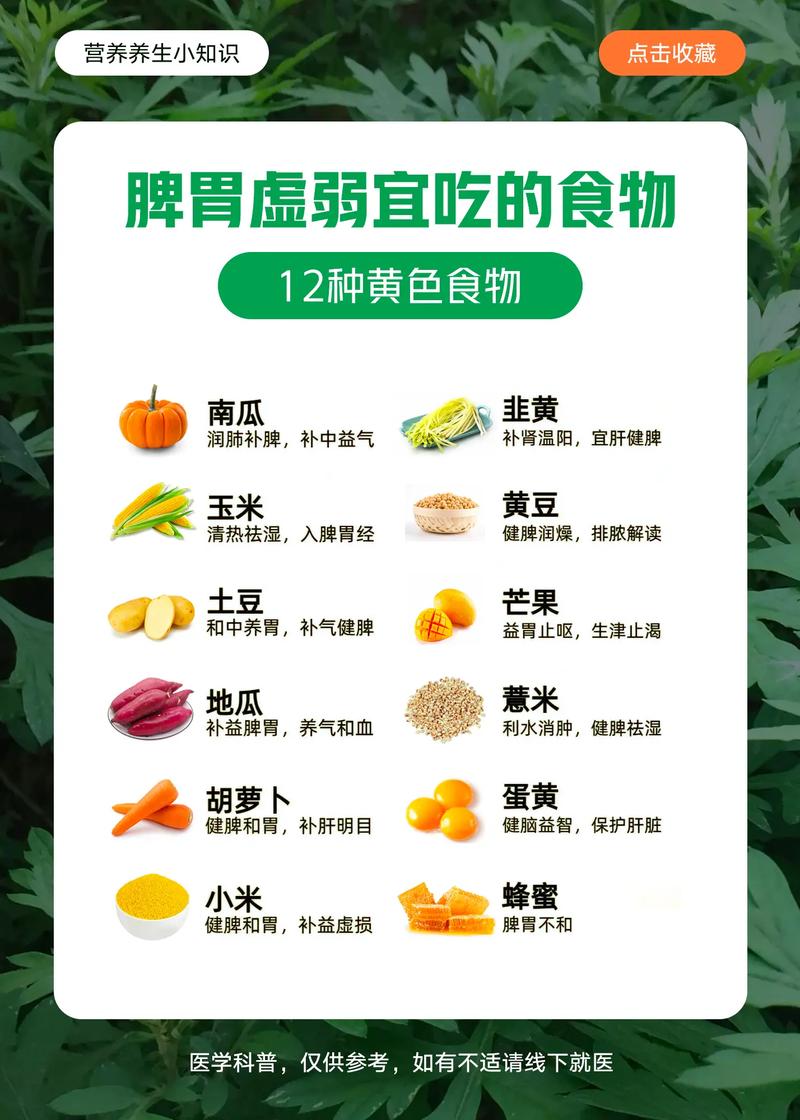 脾虚胖吃什么减肥