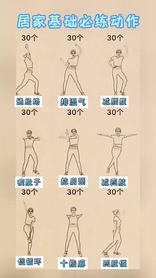 每天运动做什么运动减肥