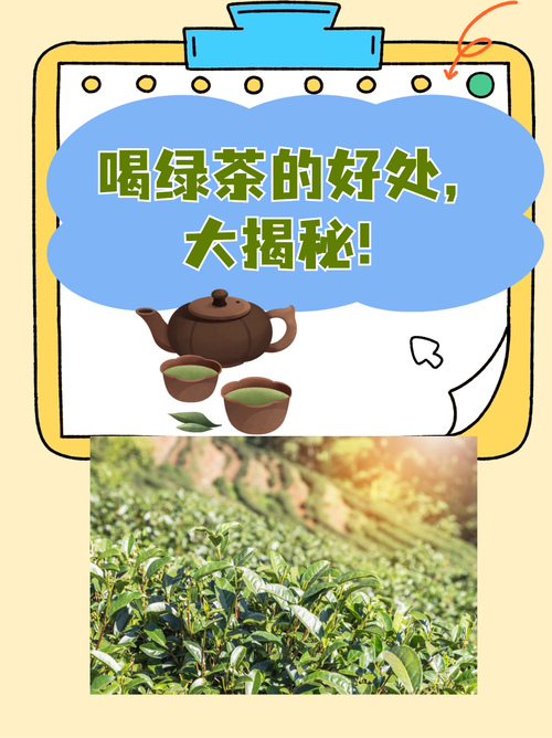绿茶和什么搭配减肥效果好