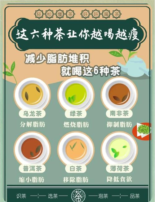 六种身体喝什么茶减肥