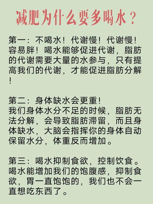 减肥为什么要不喝水