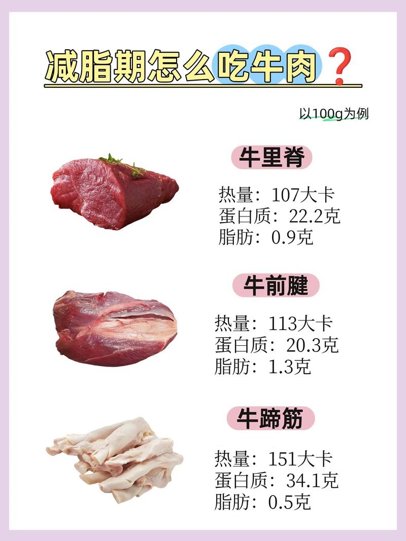 减肥为什么能吃牛肉