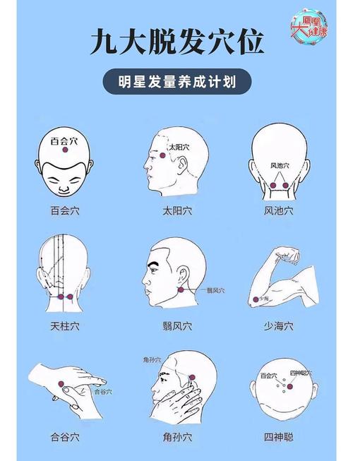 脱发按摩什么穴位