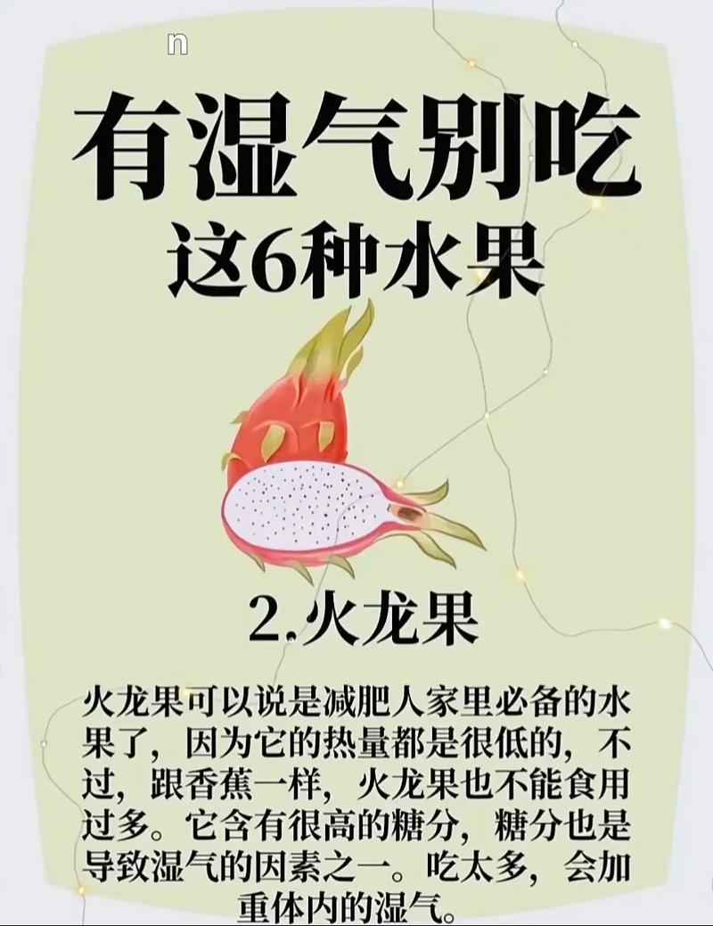 湿胖吃什么
