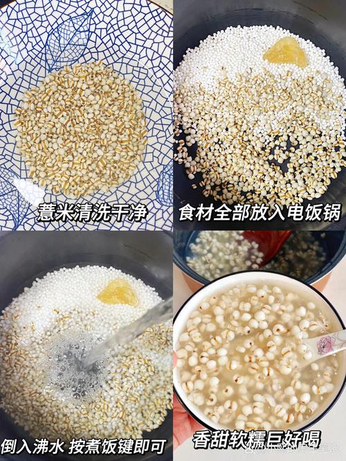 湿胖吃什么