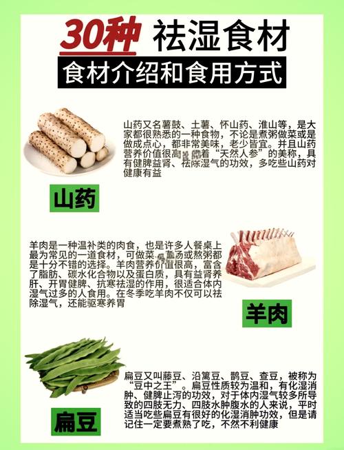 湿胖吃什么
