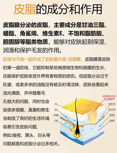 什么是油皮肤