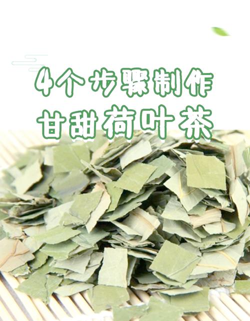 荷叶茶可以加什么减肥效果