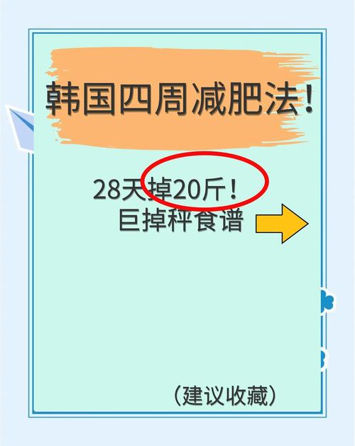韩国流行的减肥方法是什么意思